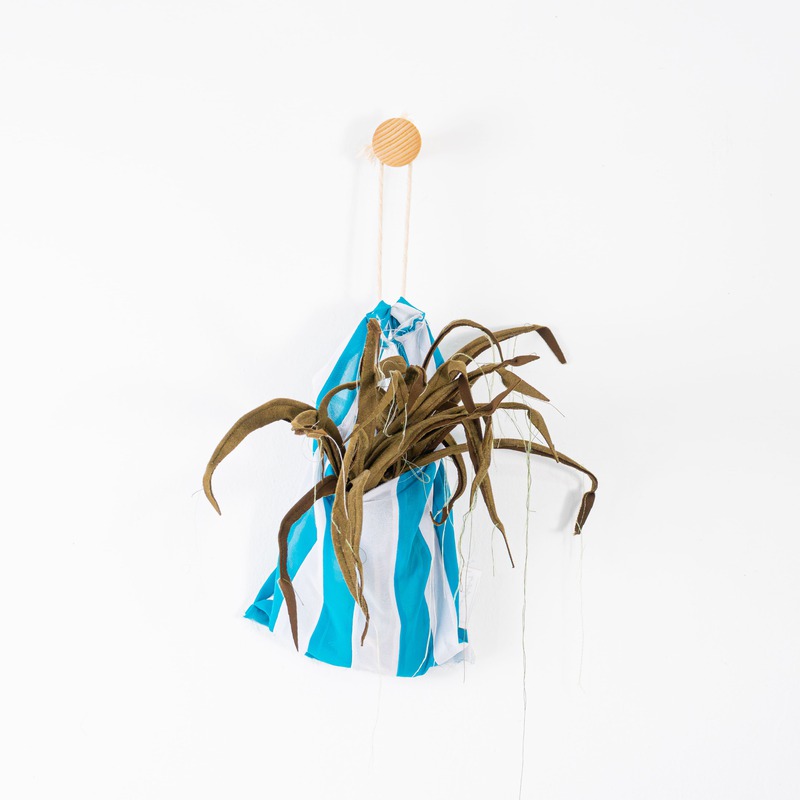 1/2 Libra de Limoncillo