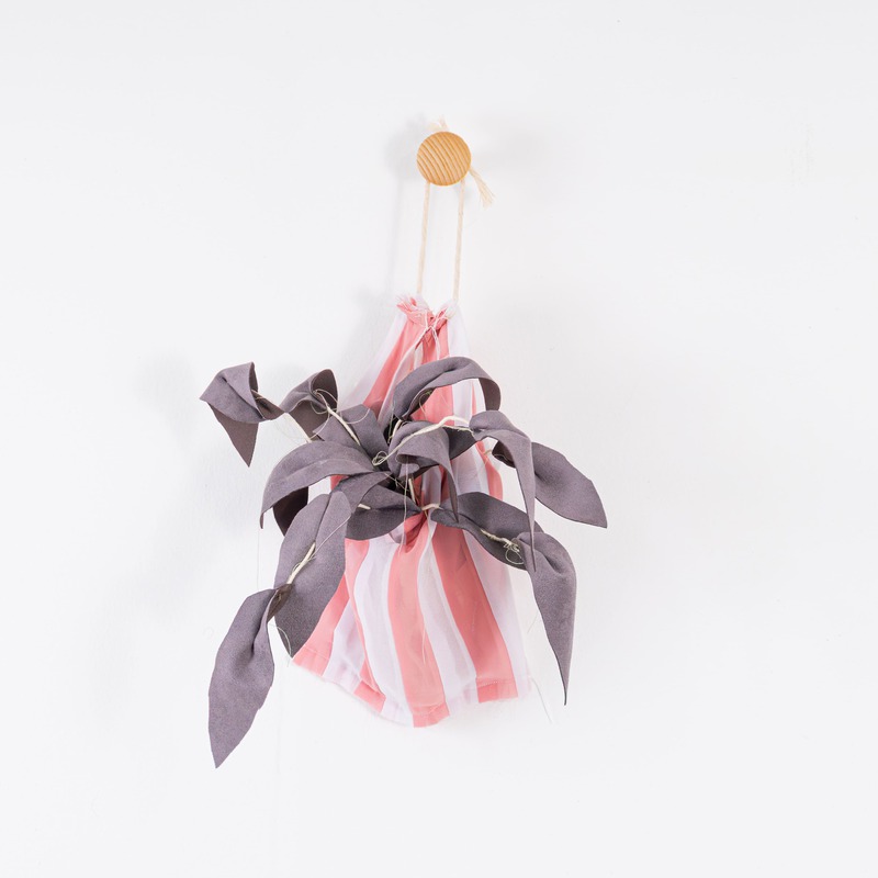 1/2 Libra de Eucalipto