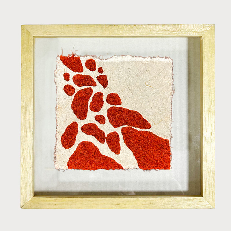 Islas de un río fragmentado III