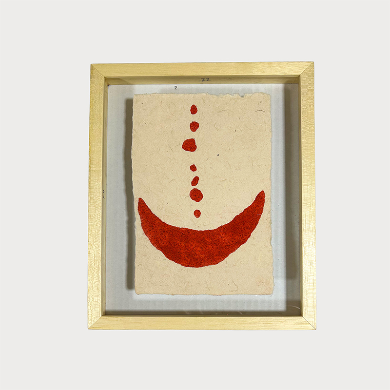 El achiote es semilla y es camino