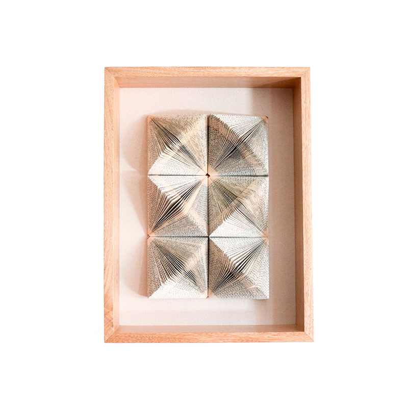 Del libro a la forma   x 6