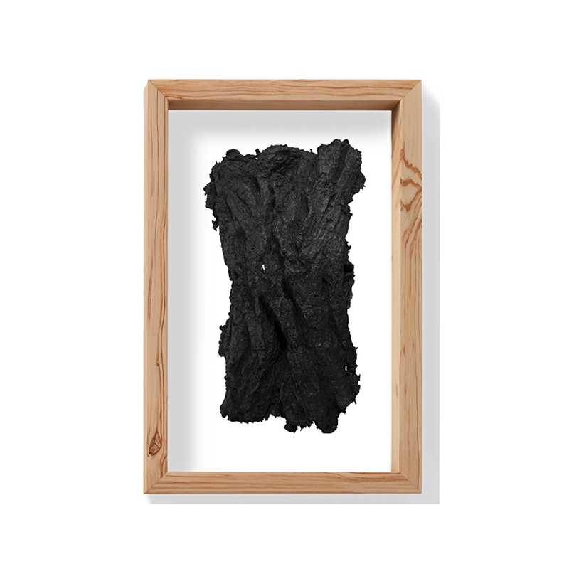 La  ciudad de los arboles perdidos #06