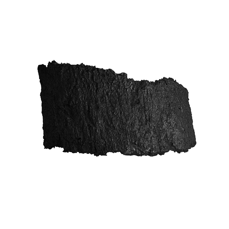 La ciudad de los arboles perdidos #16