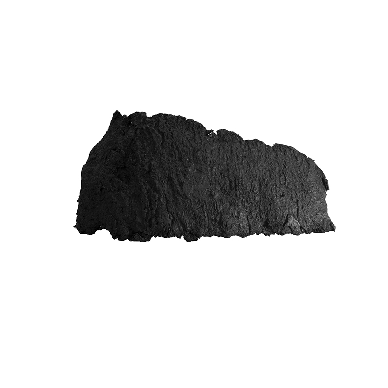 La ciudad de los arboles perdidos #15