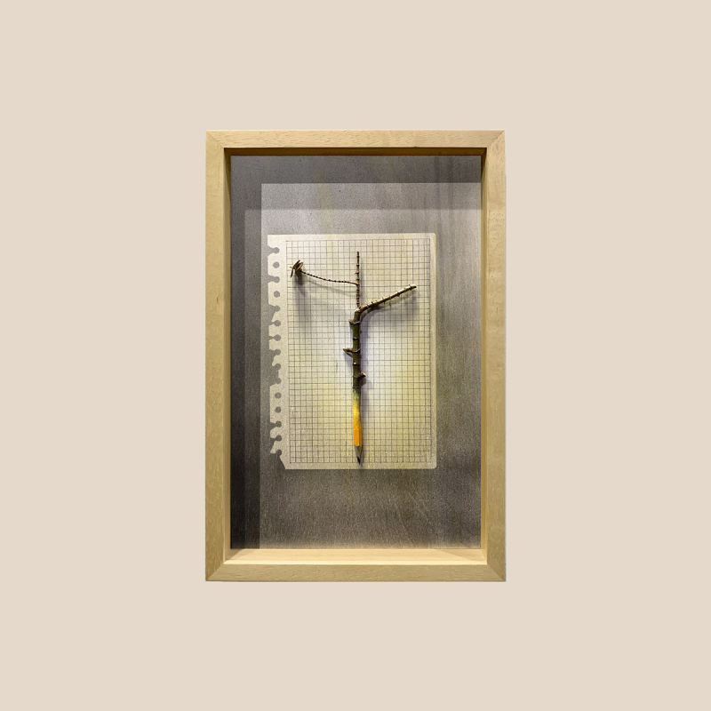 Raíces cuadradas 11