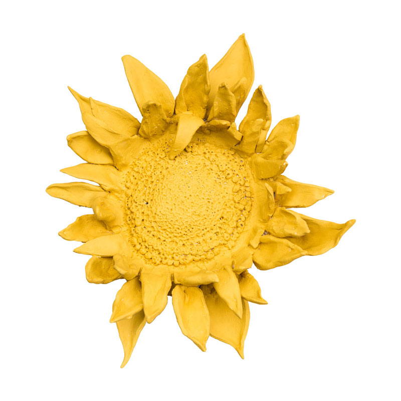 GIRASOL CONTRANATURA