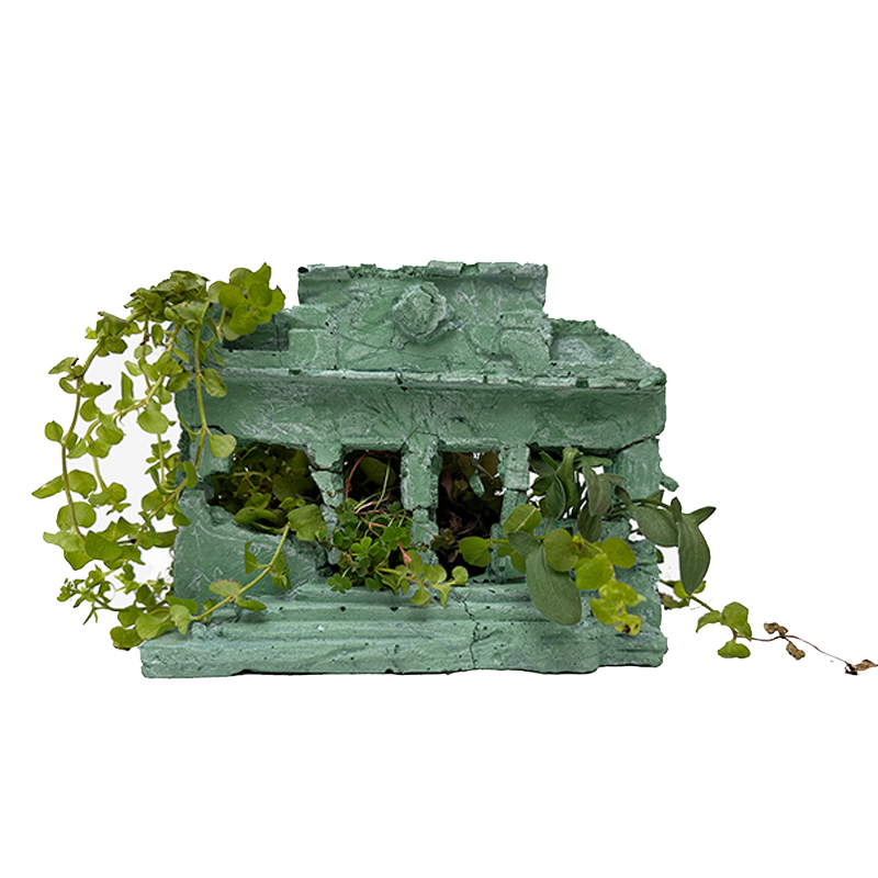 Casa J -Verde en ruinas