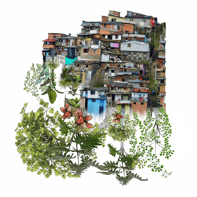 De lo disponible a lo necesario.     A13