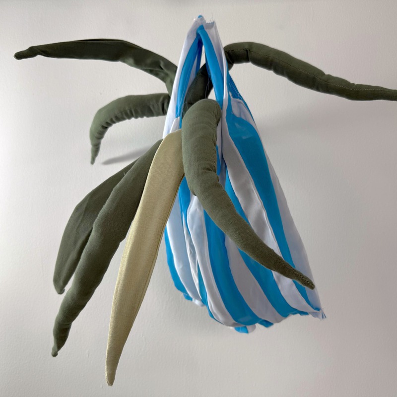 1 Libra de Cebolla Larga II