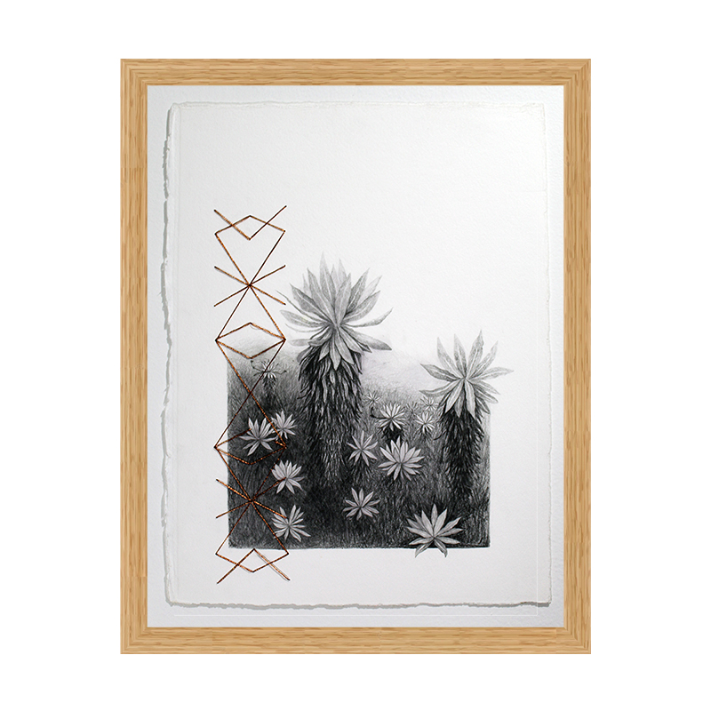 Del eje y los polos, Páramo de las Papas 1.