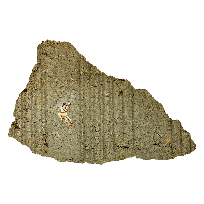 Sueño 99. Lujuría.