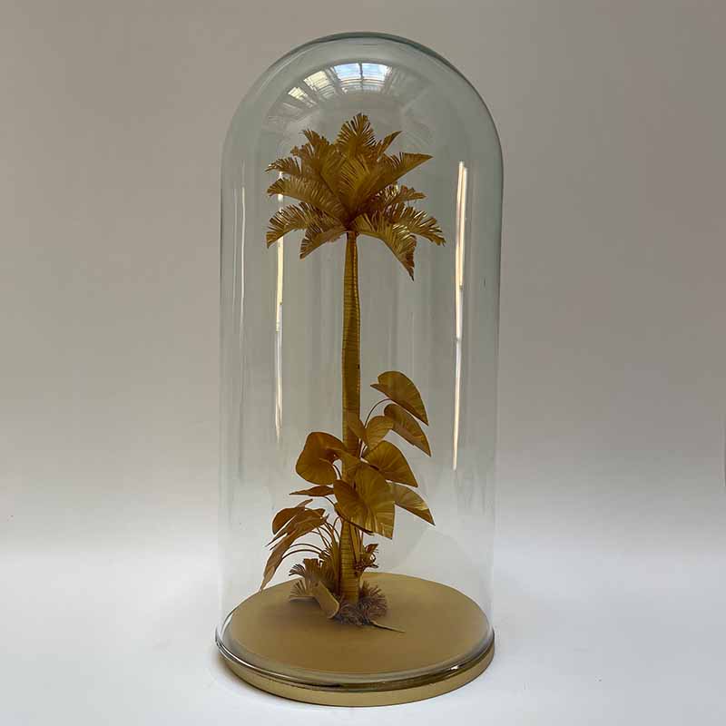 EMERGENTE DEL DORADO 13