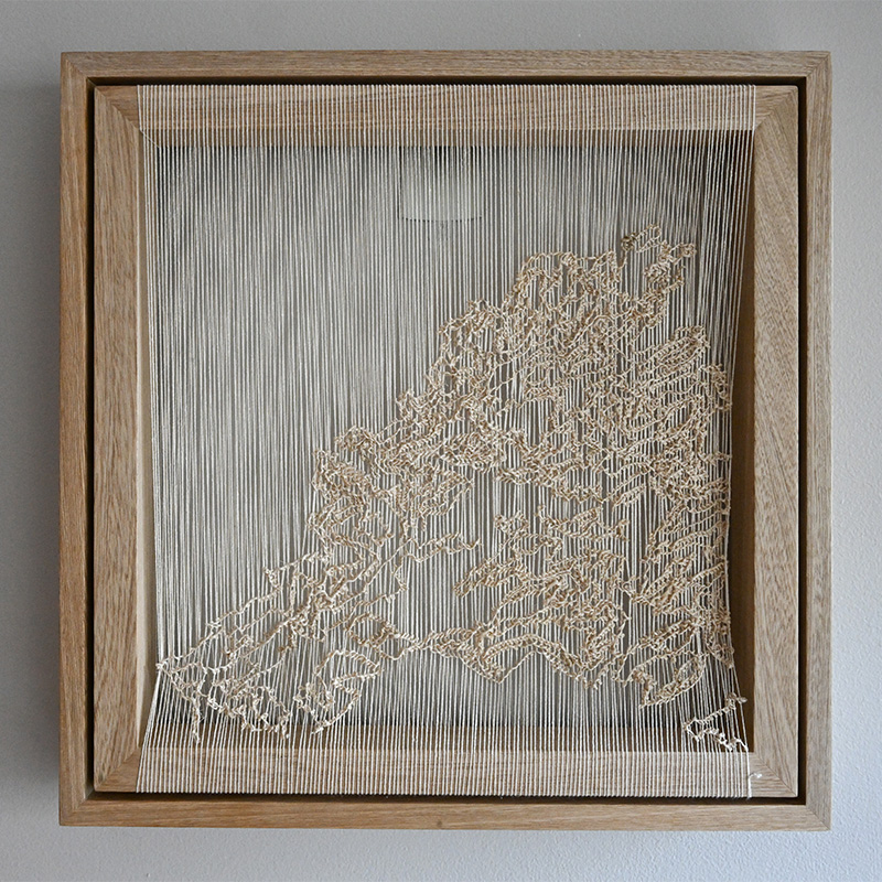 ESTRELLA DE SANTA MARTA