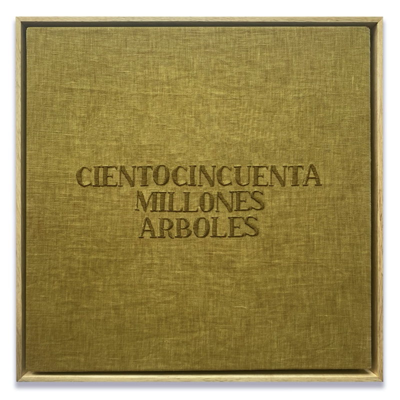 150 MILLONES DE ÁRBOLES