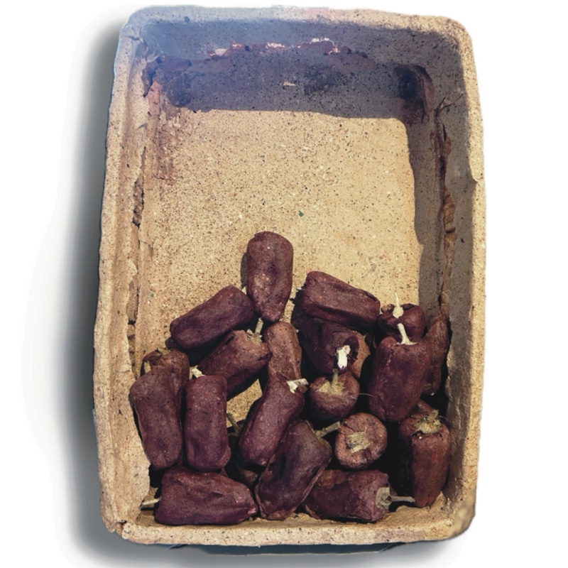 canastilla de pimentones