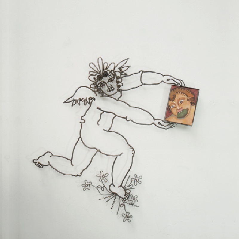 ¡En mi casa tendré un árbol de feijoa!