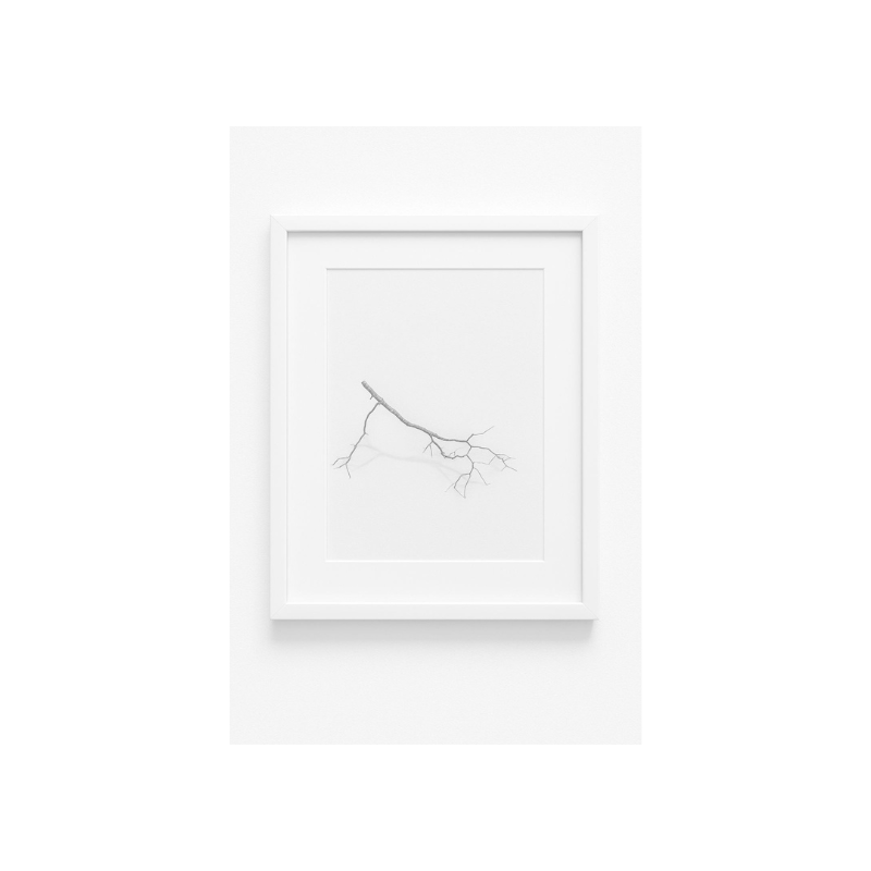 Kua 16  Trueno y tierra es: El entusiasmo.