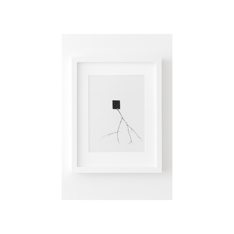 Kua 25  Cielo y trueno es: La inocencia.