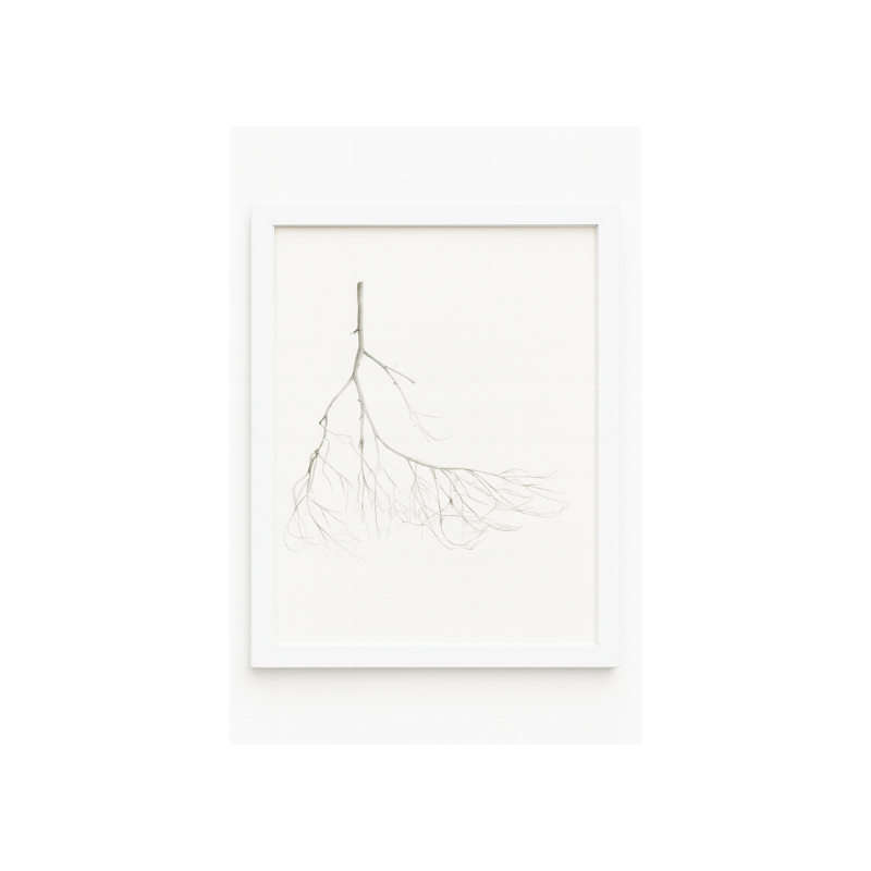 Kua 45 Lago y tierra: La reunión.