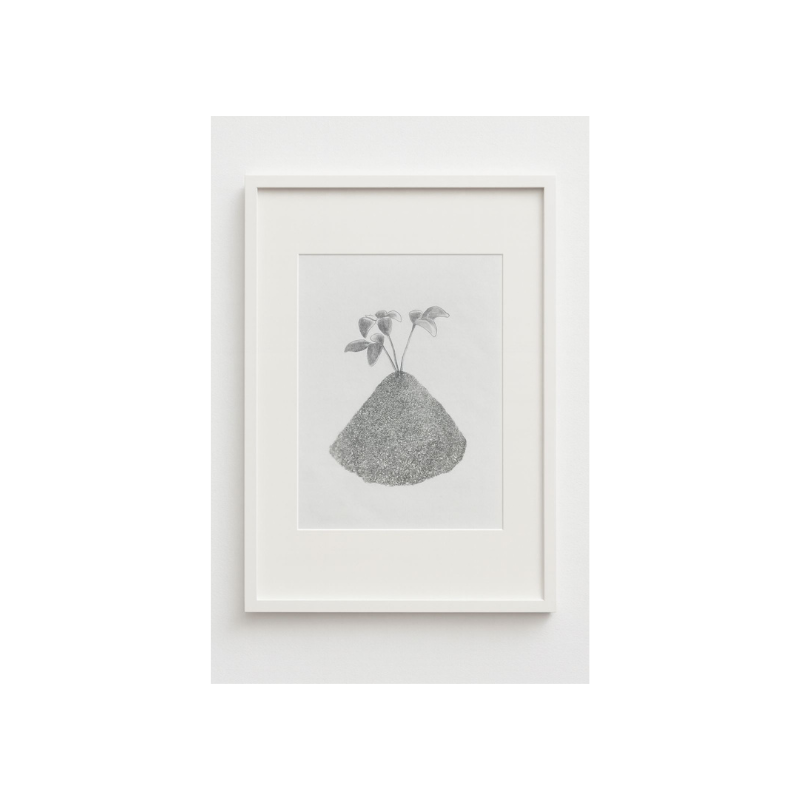 Kua 46  Tierra y viento es: La subida.