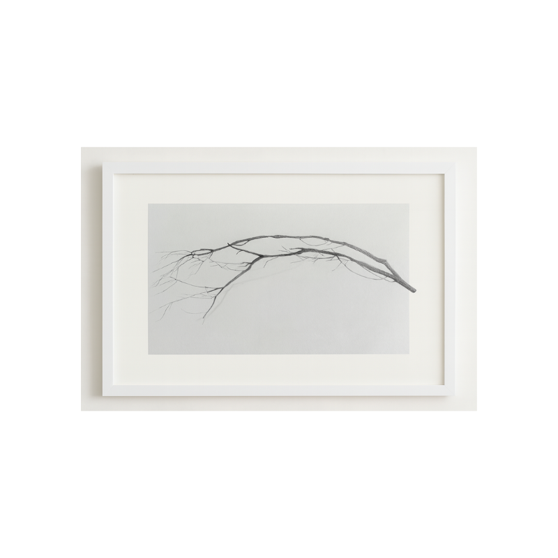 Kua 51  Lo suscisativo es el trueno.