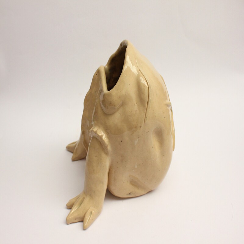 Estrellada dos patas