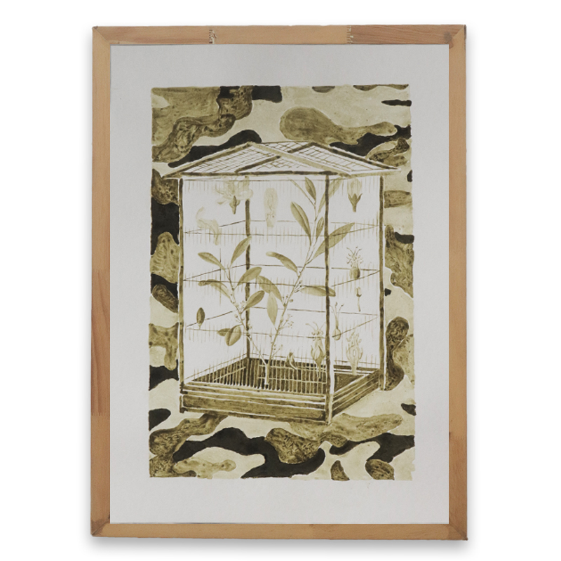 Perico 4, de la serie Tráfico (trágico)