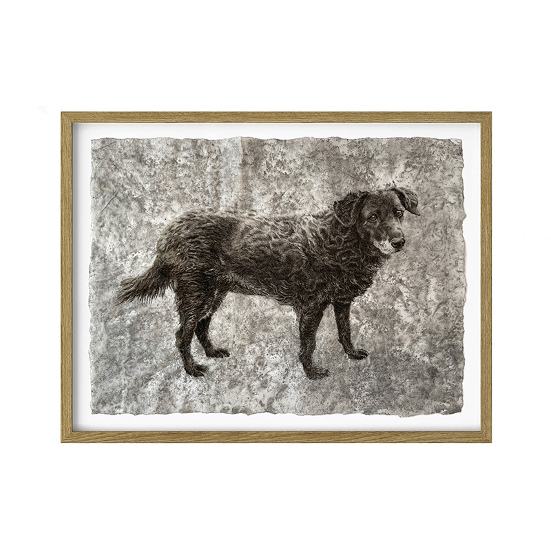 VESTIGIOS N°2_ 'Ojitos'