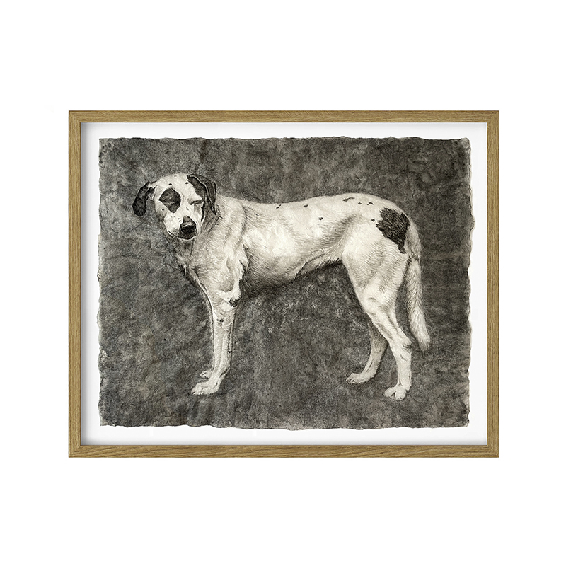 VESTIGIOS N°4_ 'La Pirata'