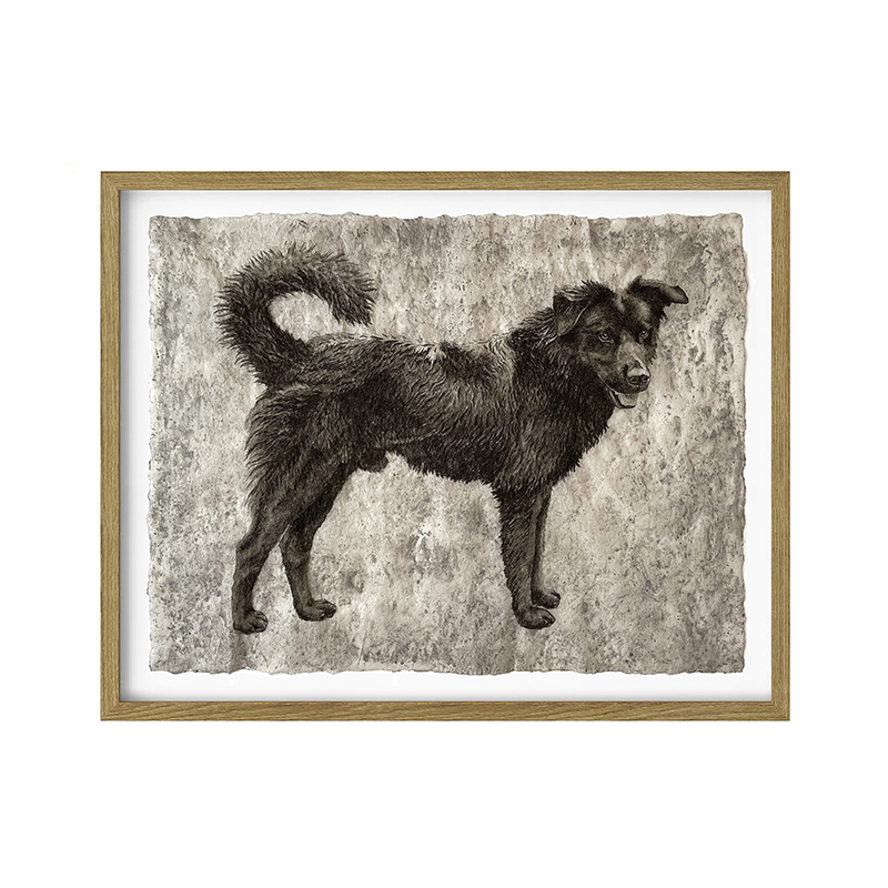 VESTIGIOS N°6_ 'El Ansioso'