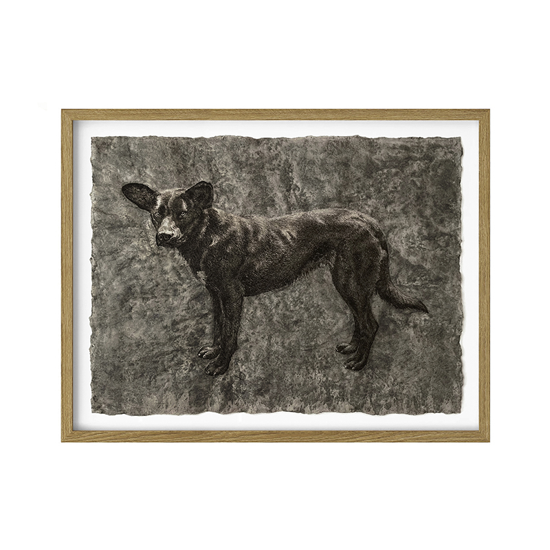 VESTIGIOS N°7_ 'Diablita'