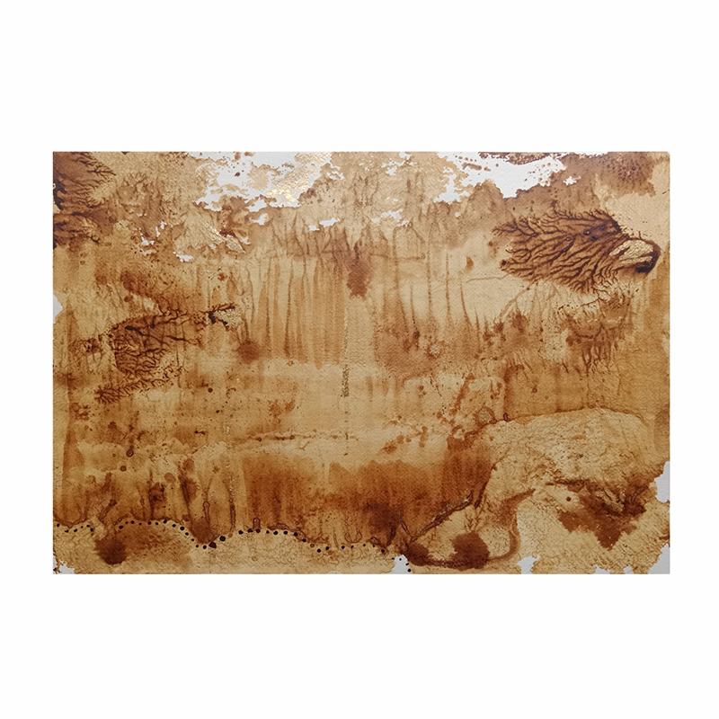 Territorio Memoria e Imaginario # 2 (Parcela 5)