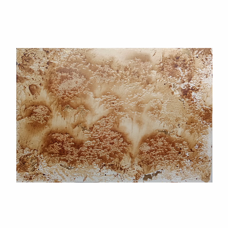 Territorio Memoria e Imaginario # 2 (Parcela 10)