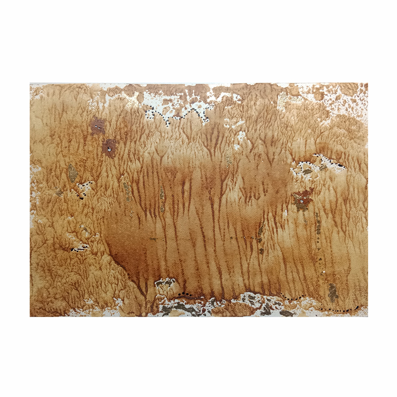 Territorio Memoria e Imaginario # 2 ( Parcela 14)