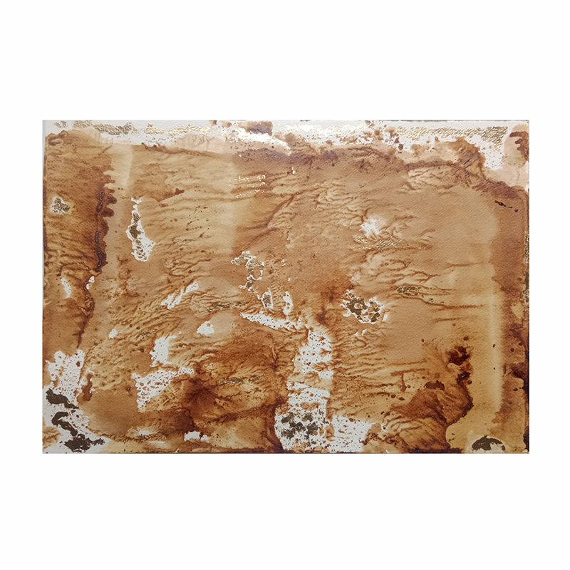 Territorio Memoria e Imaginario # 2 (Parcela 16)