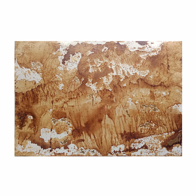 Territorio Memoria e Imaginario # 2 (Parcela 17)