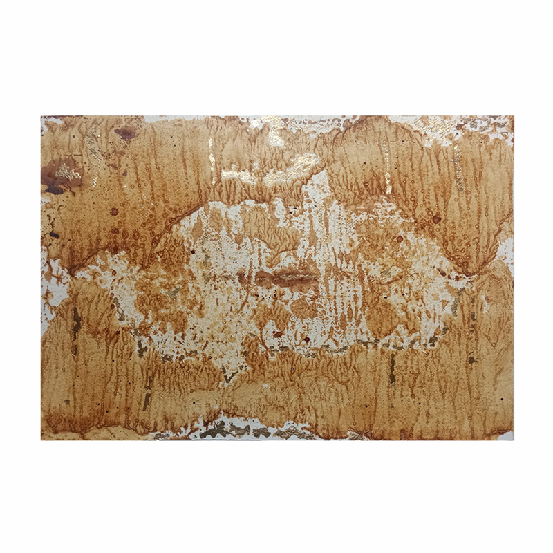 Territorio Memoria e Imaginario # 2 (Parcela18)