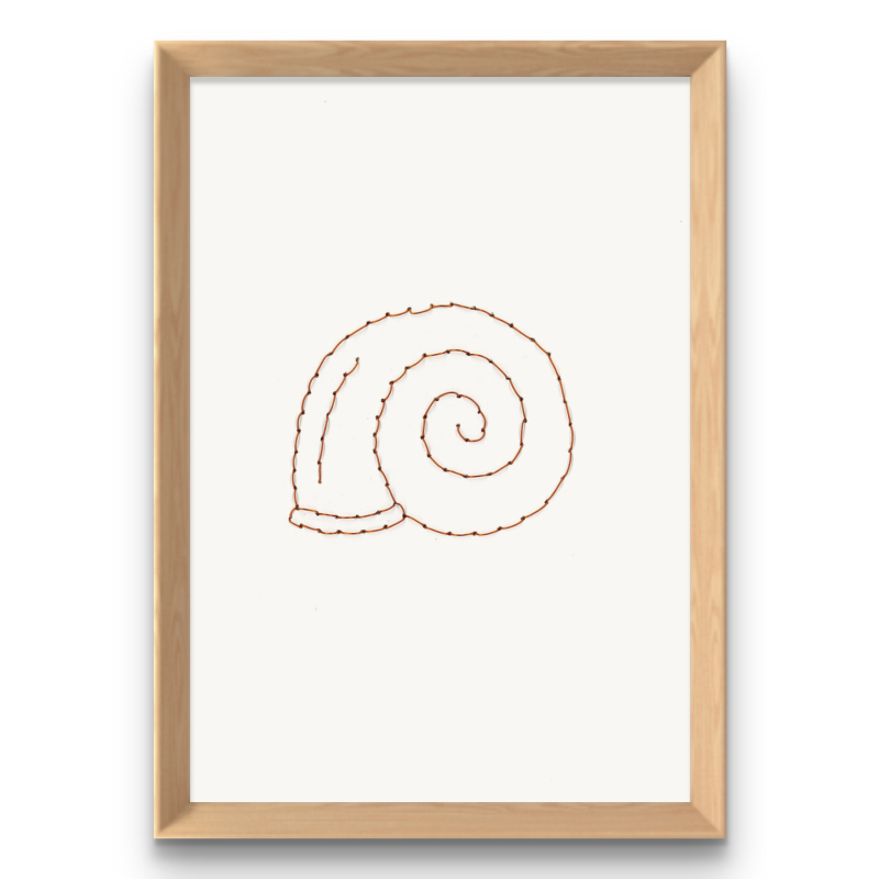 CARACOL