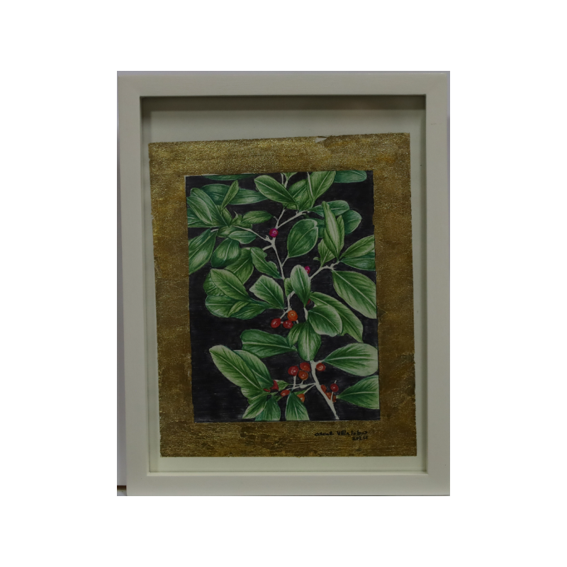 Vitrinas Tierra movil 04