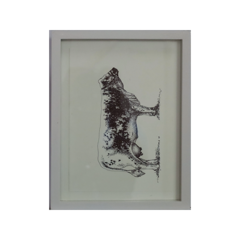 Vitrinas Tierra Movil 16