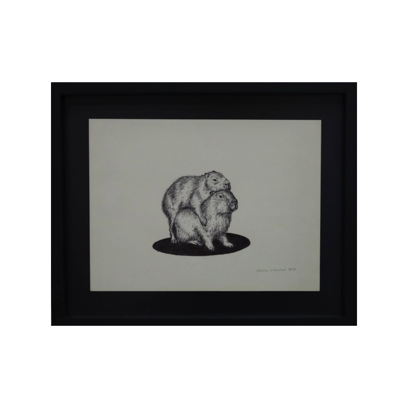 Vitrinas Tierra Movil 46