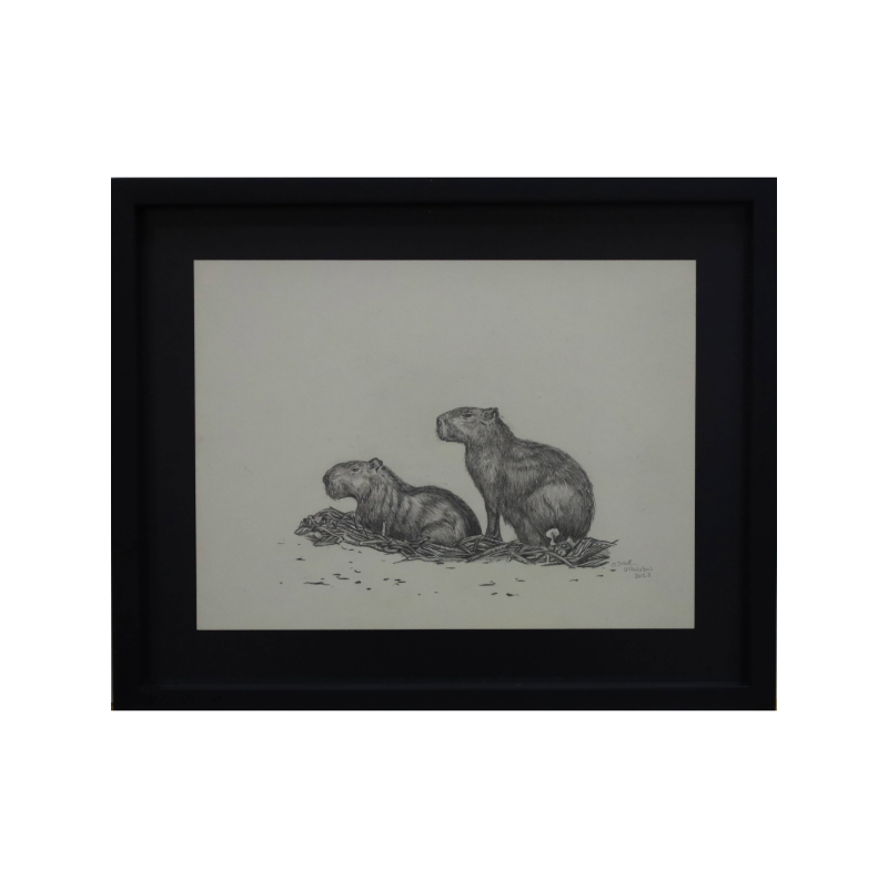 Vitrinas Tierra Movil 47