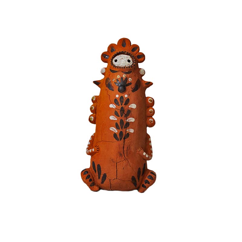 curanderos  sin nombre