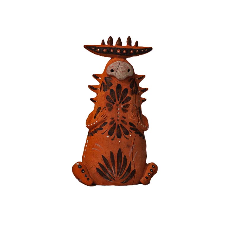 curanderos sin nombre 00